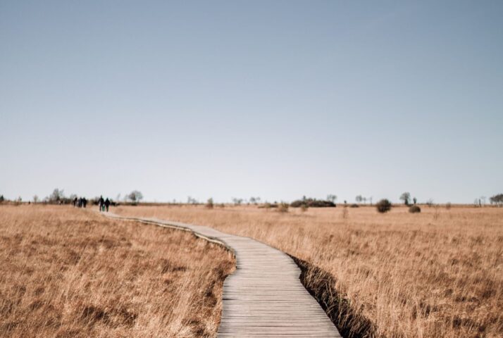 adrien-delforge-UBuHPIMP108-unsplash