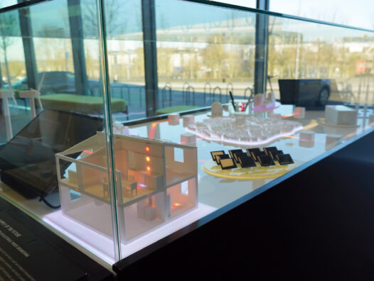 Processed with Lensa with Auto Adjustments