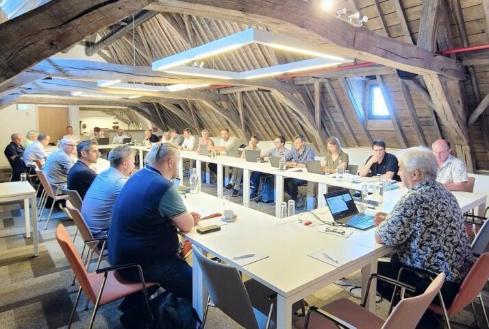 Processed with Lensa with Auto Adjustments