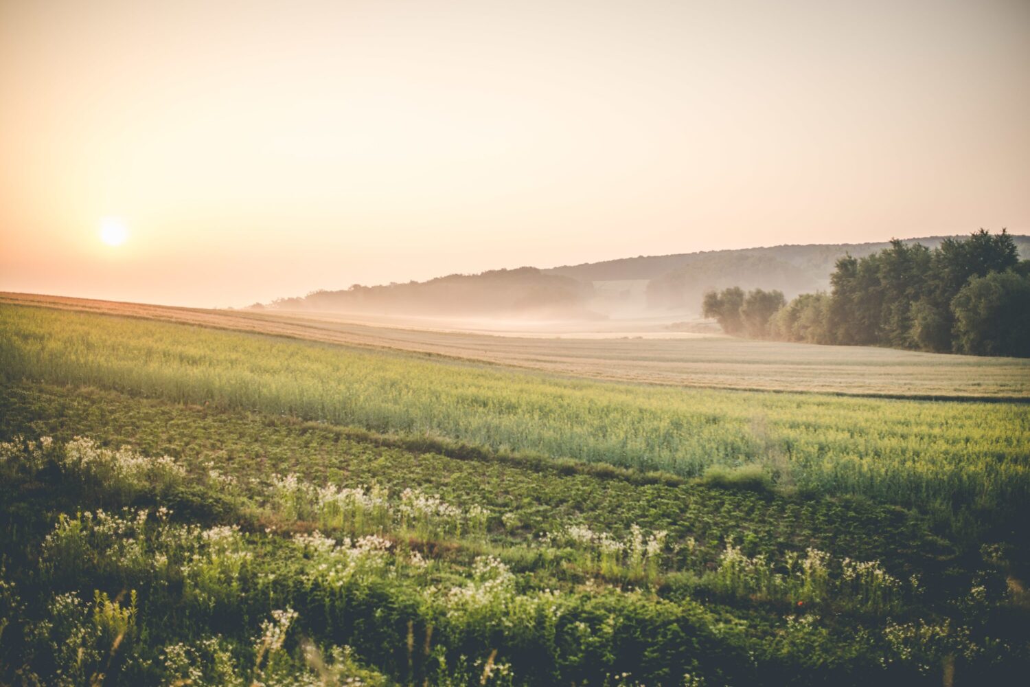 sun rising over the polish farmland, eastern poland