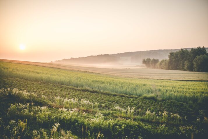 sun rising over the polish farmland, eastern poland